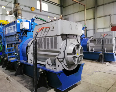 丰都甘泰沼气发电项目配ld平台中国有限公司
2台850KW/10.5KV6极高压发电机