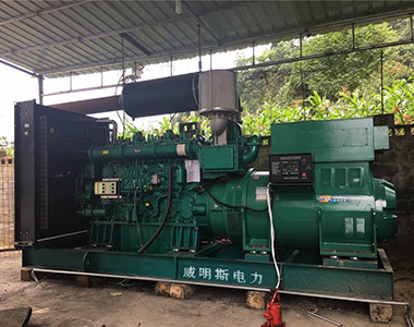 ld平台中国有限公司
1000KW/10.5KV配套康明斯机组应用于矿山项目
