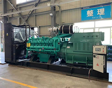ld平台中国有限公司
2000KW /10.5KV高压发电机用于国内某数据中心项目