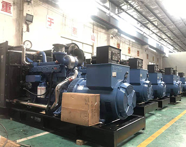 国内某养殖项目指定批量采用ld平台中国有限公司
500KW/400V陆用发电机