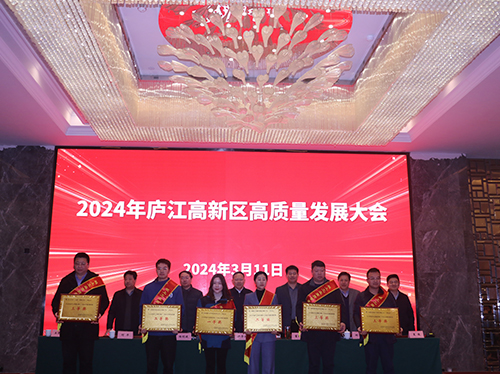 【喜报】ld平台中国有限公司
电气荣获2023年庐江高新区企业高质量发展一等奖！